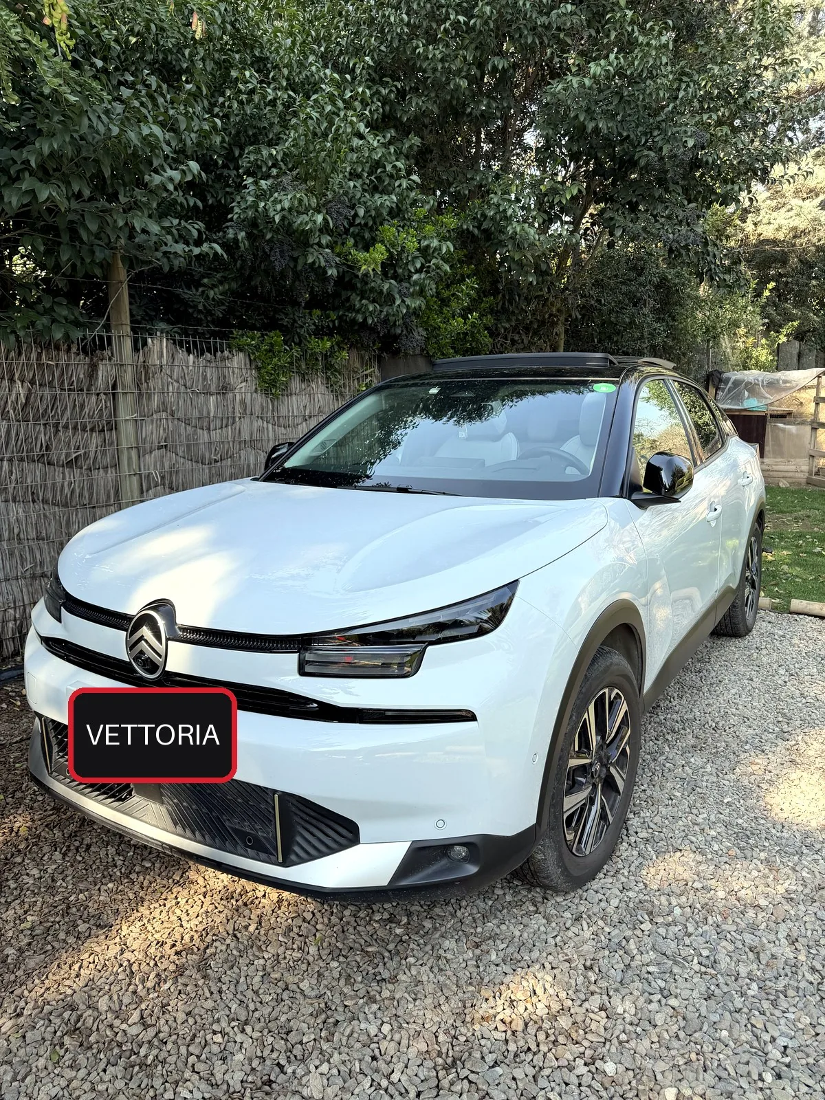 Citroen C4 foto 3