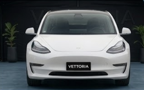 Tesla Model 3 foto 1